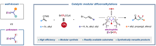 金属二氟卡宾催化偶联反应研究获进展