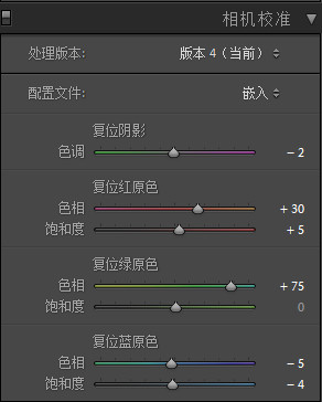 使用Photoshop打造童话风格的少女人物艺术照片调色教程  第14张