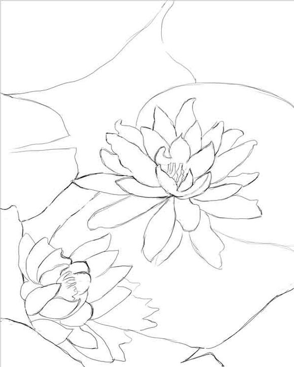 Painter使用仿真水彩进行湿笔绘画睡莲实例教程  第7张