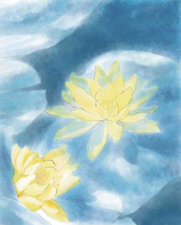 Painter使用仿真水彩进行湿笔绘画睡莲实例教程  第11张