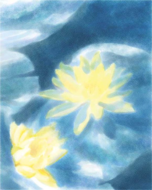 Painter使用仿真水彩进行湿笔绘画睡莲实例教程  第12张