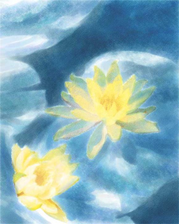 Painter使用仿真水彩进行湿笔绘画睡莲实例教程  第14张