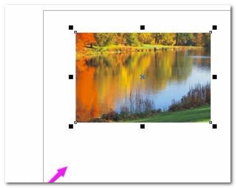 CorelDraw调整图片不透明度的方法教程