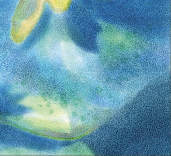 Painter使用仿真水彩进行湿笔绘画睡莲实例教程  第15张