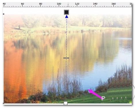 CorelDraw调整图片不透明度的方法教程  第4张