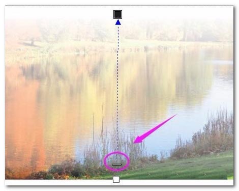 CorelDraw调整图片不透明度的方法教程  第5张