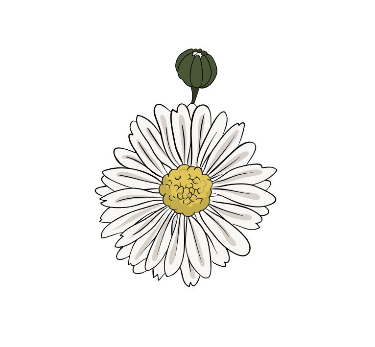 illustrator如何手绘菊花矢量素材？AI绘制小菊花插画技巧  第5张