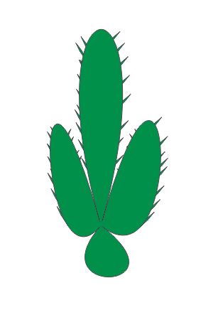 CorelDRAW手绘插画风格的仙人掌的方法教程