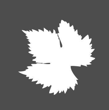 AI手绘葡萄叶、画树叶的技巧教程  第5张