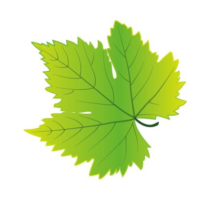 AI手绘葡萄叶、画树叶的技巧教程  第18张