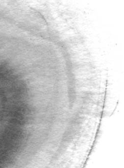 Photoshop制作复古水墨风格的名片设计 第4张 Photoshop制作复古水墨风格的名片设计 第4张