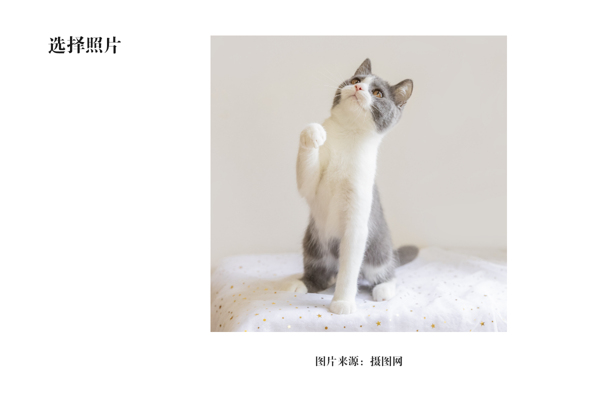 插画图片，AI+PS鼠绘可爱的招财猫插画Banner图片