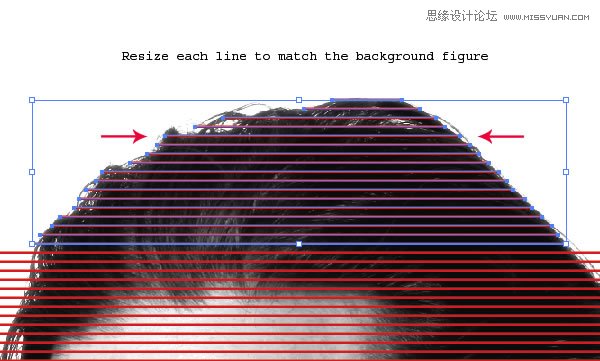 Illustrator把照片制作成矢量线条插画  第8张