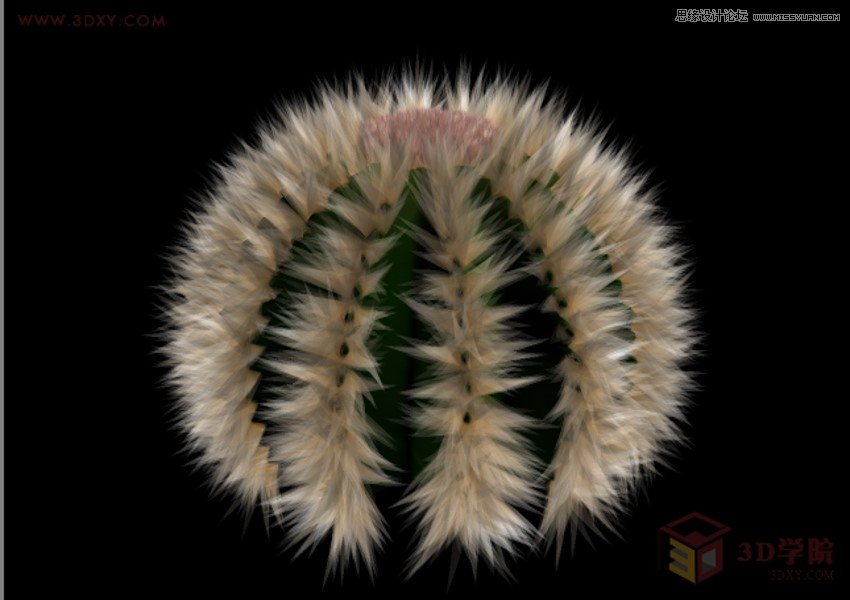 3DMAX详细解析仙人球快速建模的方法 第1张 3DMAX详细解析仙人球快速建模的方法 第1张