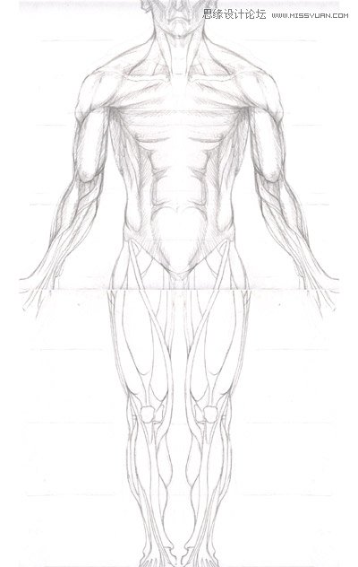 3ds max解析人体建模实例教程  第4张