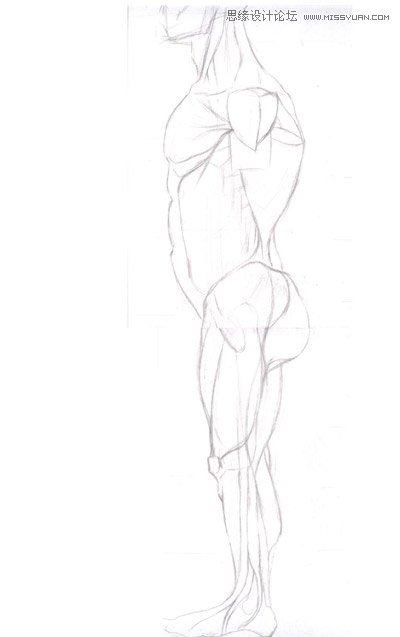 3ds max解析人体建模实例教程  第5张