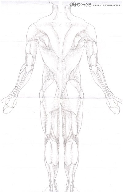 3ds max解析人体建模实例教程  第6张