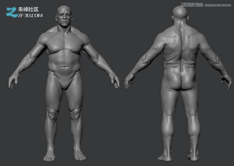 3ds max制作立体效果的角斗士之王  第3张