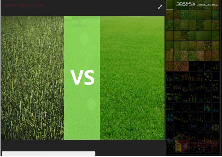 3DMAX详细解析真实草地效果图制作教程  第2张