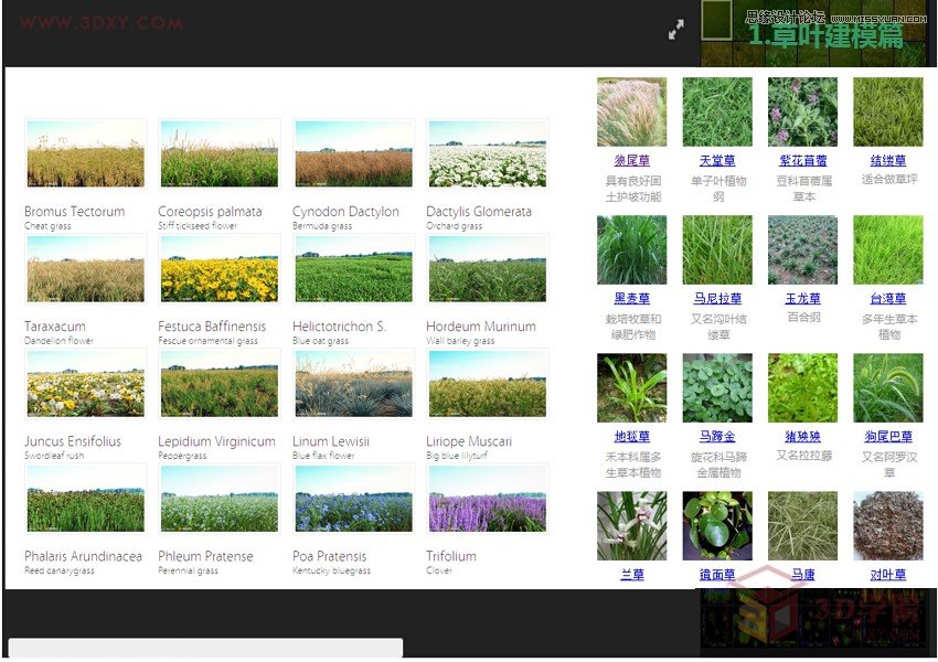 3DMAX详细解析真实草地效果图制作教程  第3张