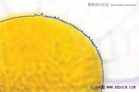 Illustrator绘制漂亮的白色雏菊效果 第4张 Illustrator绘制漂亮的白色雏菊效果 第4张