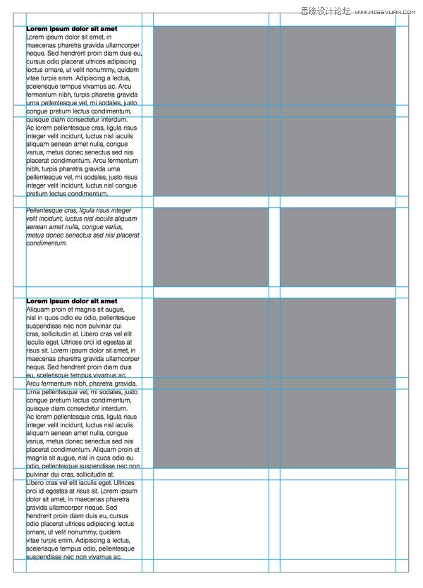 Illustrator教程：详细解析AI网格工具的使用