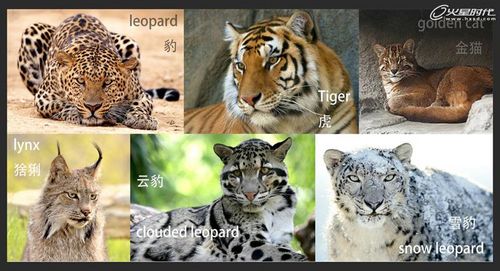 3DMAX教程:《王魂》创作设计理念剖析 第2张 3DMAX教程:《王魂》创作设计理念剖析 第2张