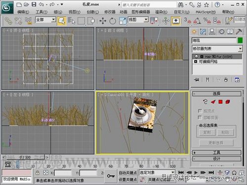 3ds Max教程:解析材质中的毛皮质感 第4张 3ds Max教程:解析材质中的毛皮质感 第4张