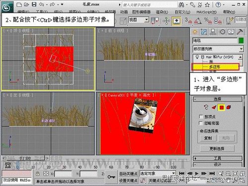 3ds Max教程:解析材质中的毛皮质感 第6张 3ds Max教程:解析材质中的毛皮质感 第6张